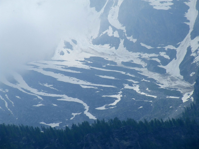 un metro quadrato di  paradiso - parco del gran paradiso